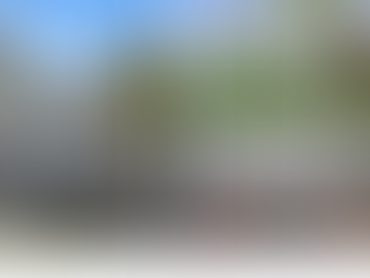 Epsom Property News - 市場行情分析 紐西蘭房產大叔  Vincent H 0222666647