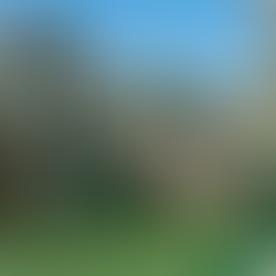 "Nature's Playground: Exploring the Benefits of Outdoor Play"