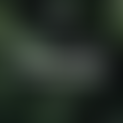 "Conquering the Blank Page: Overcoming Creative Anxiety for Kids"