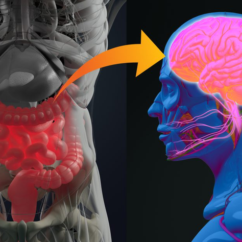 "The Gut-Brain Connection: How Your Digestion Affects Your Mood"