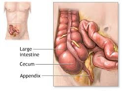 "Beyond the Band-Aid: Common Pediatric Surgical Procedures Explained for Parents"