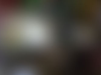 Art and Storytelling in the Woods