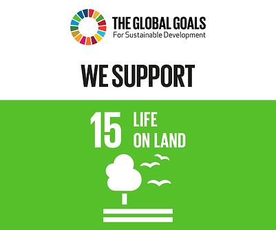 GLOBAL_GOALS_BANNER_WE_SUPPORT_life on l