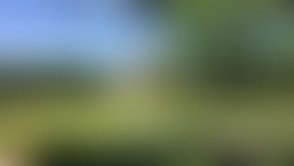 나니아 이해를 돕기위한 필드트립McComb's Collection at Southwestern University