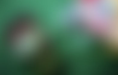 Quick Fun Roulette Tips – Roulette Strategy