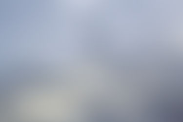 I visited the swan habitat.