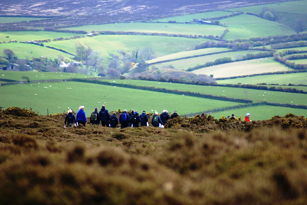 Walkers on Exmoor