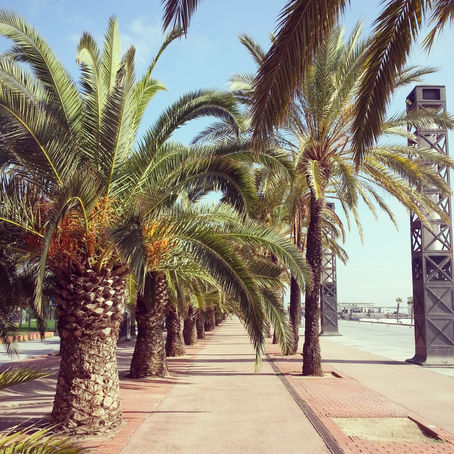 Barcelona | Hiszpania