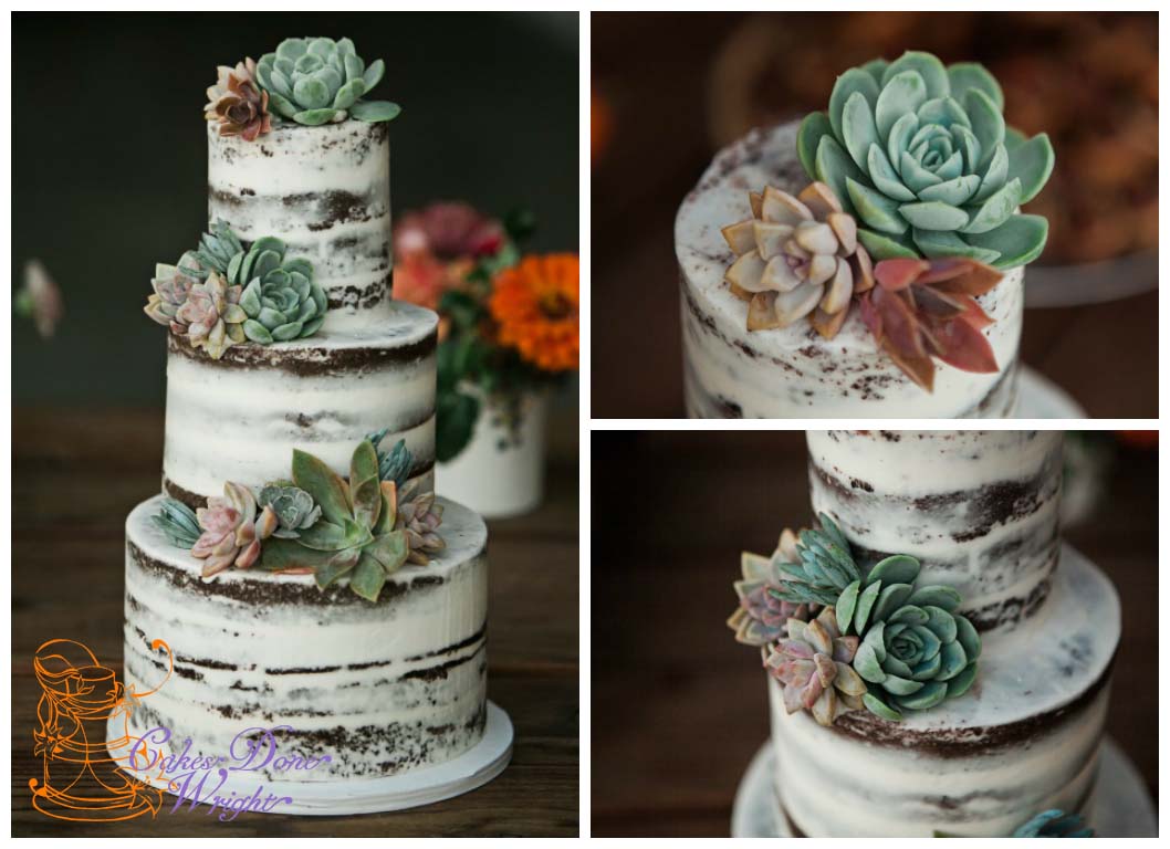 succulent naked cake