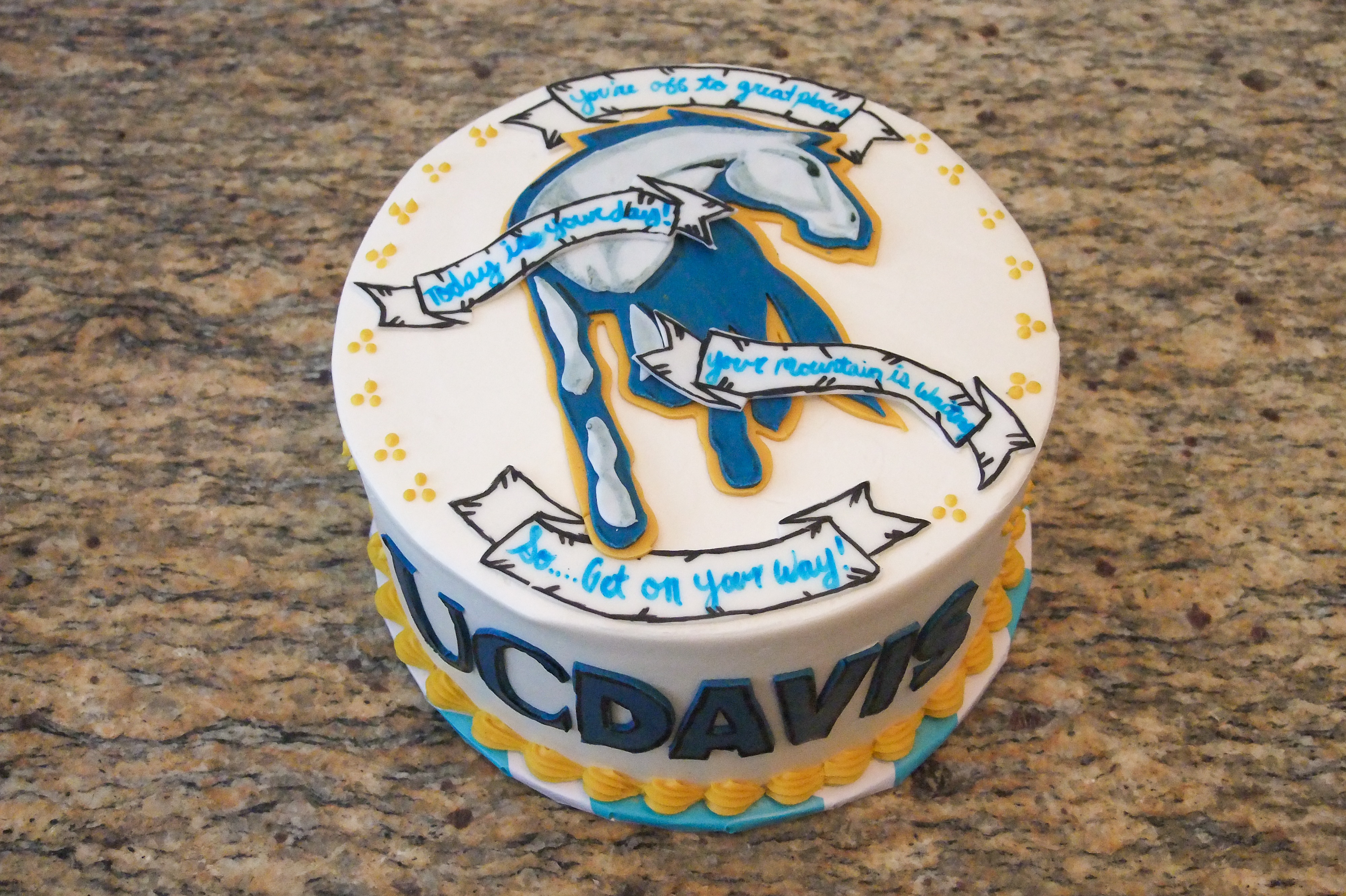 UCD graduation cake