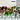 FLORISTJPロゴ.png