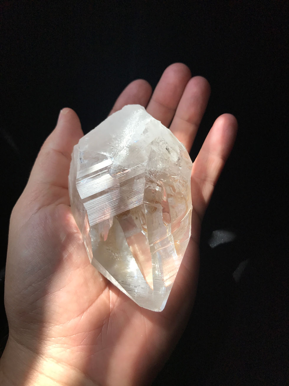 Thumbnail: Paradise Point Lemurian