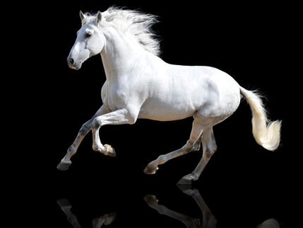 Jupiter Transits Sagittarius: Sign Specific Guidance