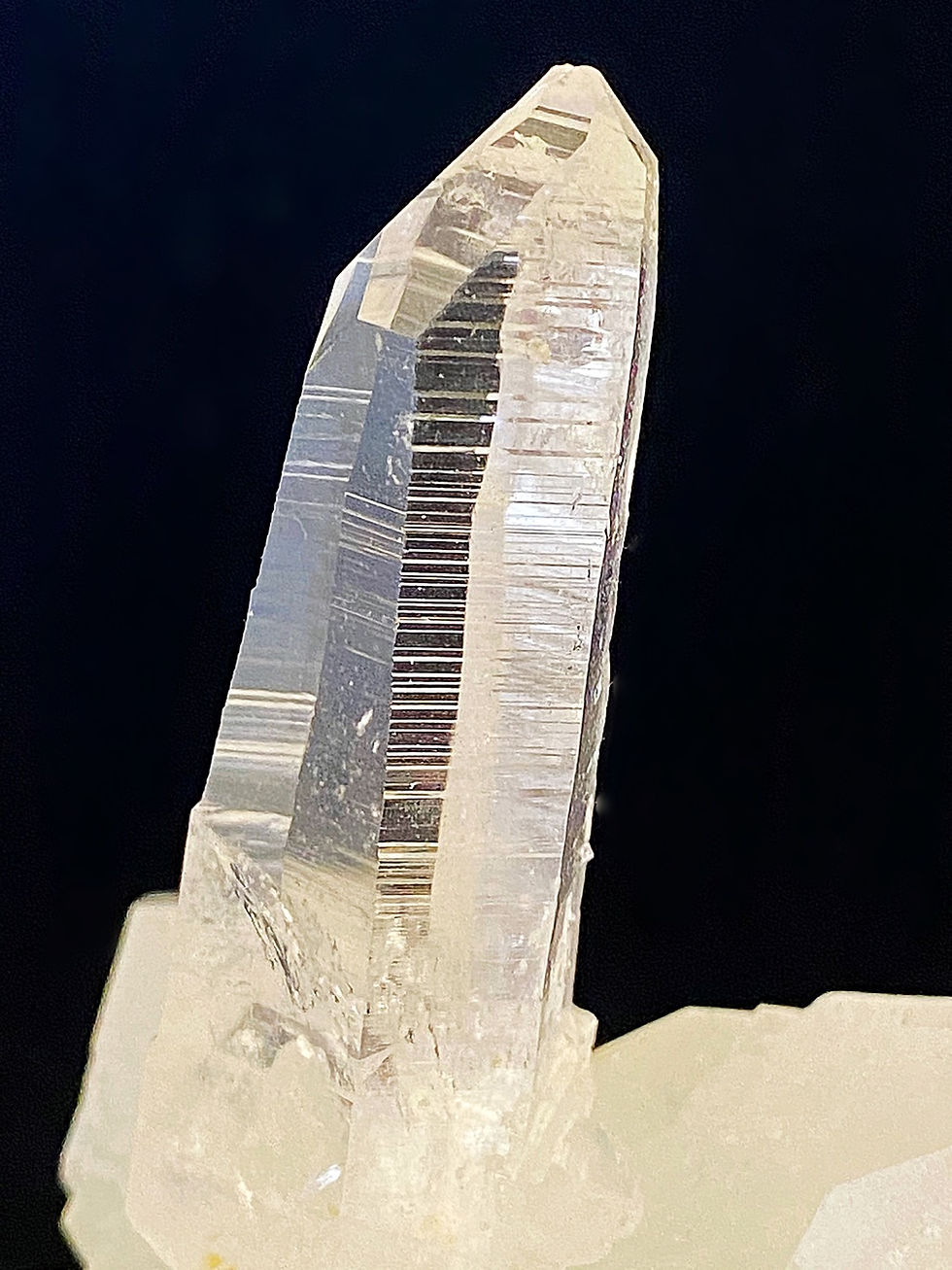 Thumbnail: Centauri