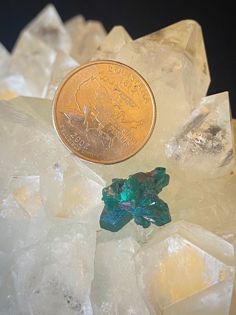 Thumbnail: Dioptase Crystal Cluster
