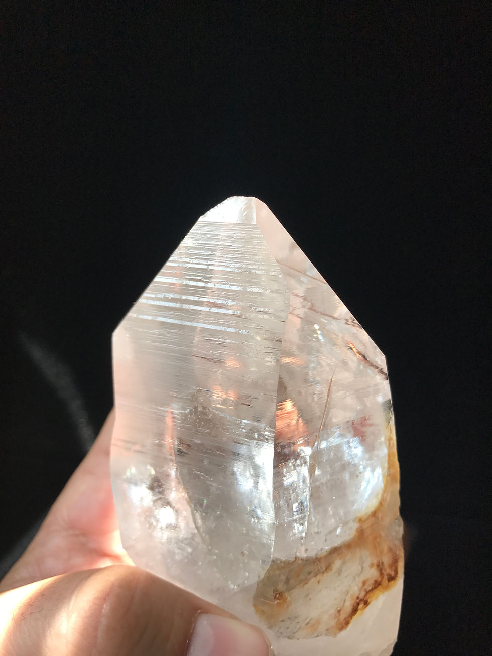 Thumbnail: Paradise Point Lemurian