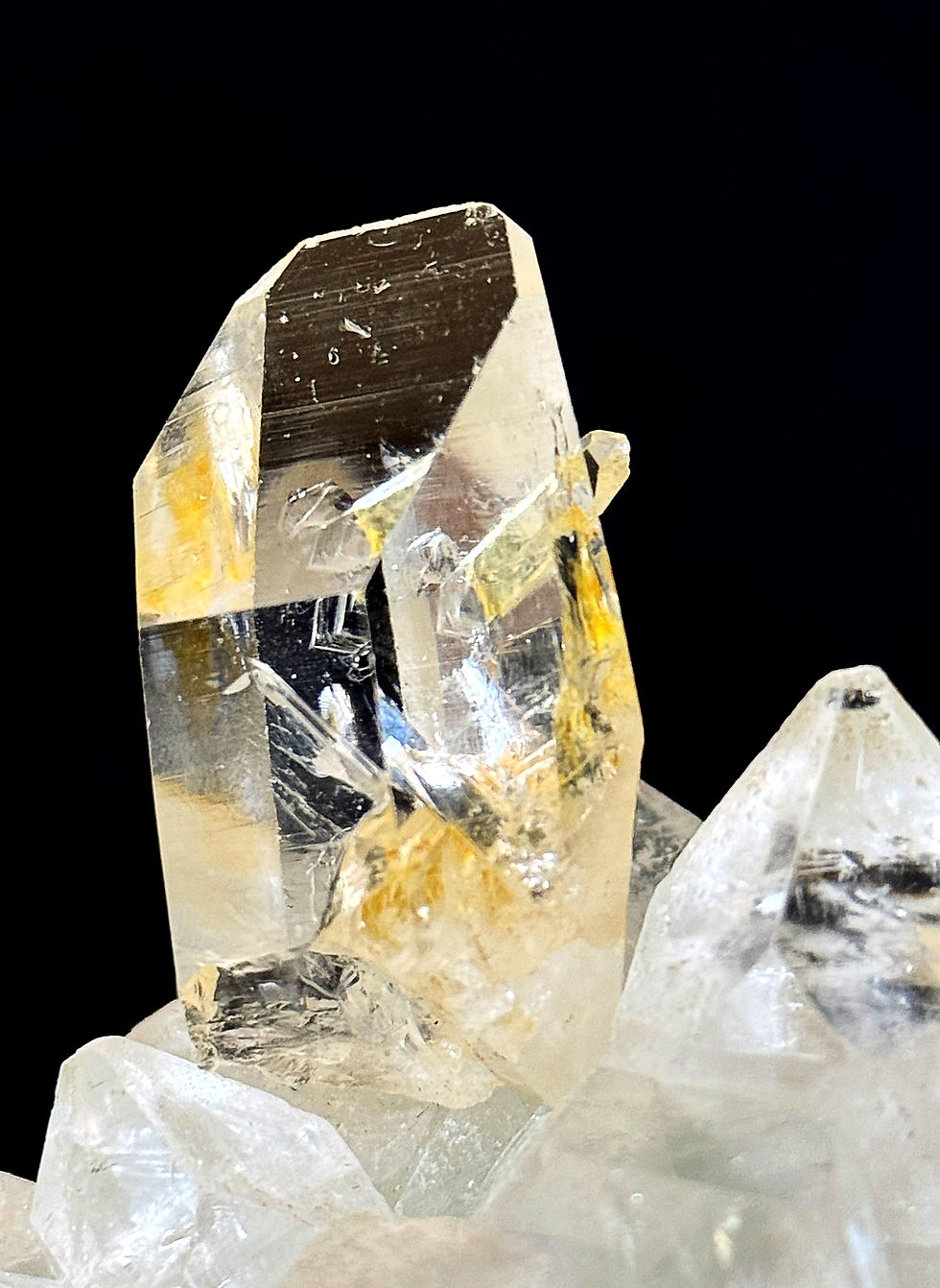 Thumbnail: Colombian Golden Lemurian Specimen 