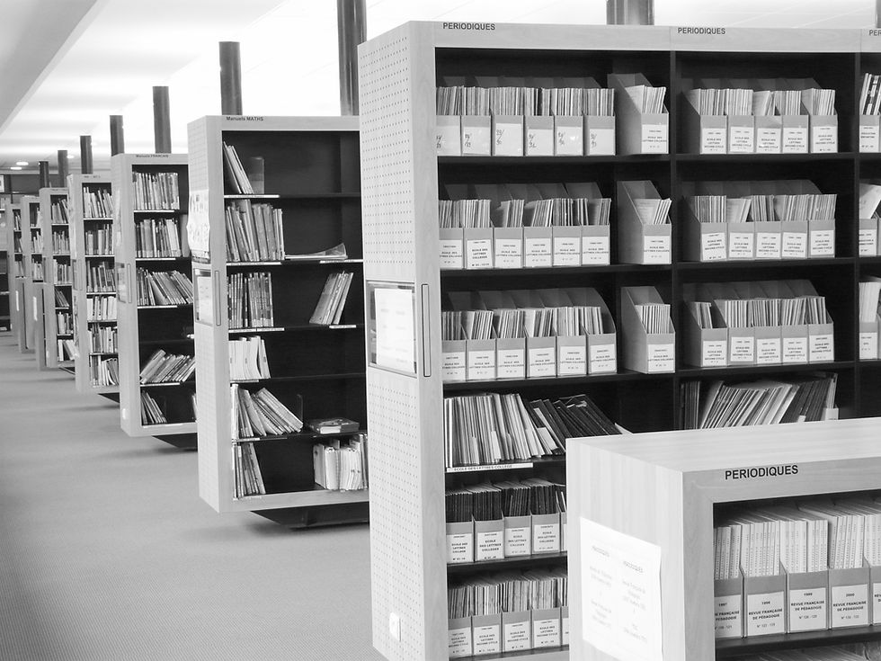 Bookshelves_edited.jpg