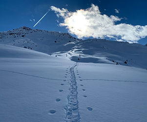 Offpiste Skitouring Splitboard Touring Arosa