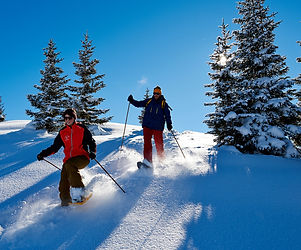 Schneeschuhtouren Arosa