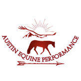 AustinPerllc (1).png