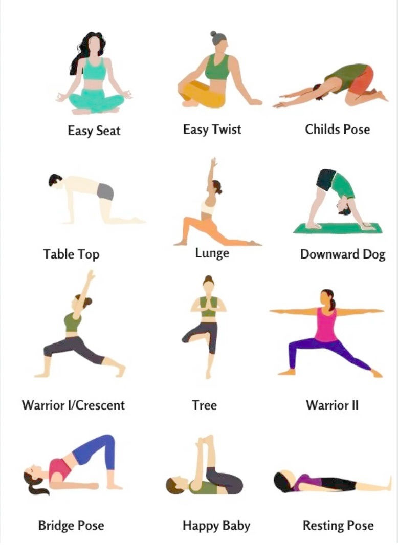 Yoga Basics