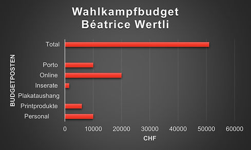 Budget BW Wahlkampf.jpeg