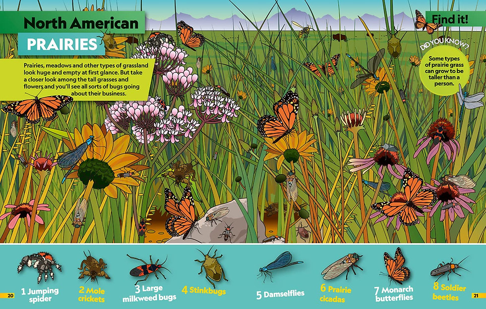 Thumbnail: Insects Find it! Explore it!: More than 250 things to find, facts and photos!