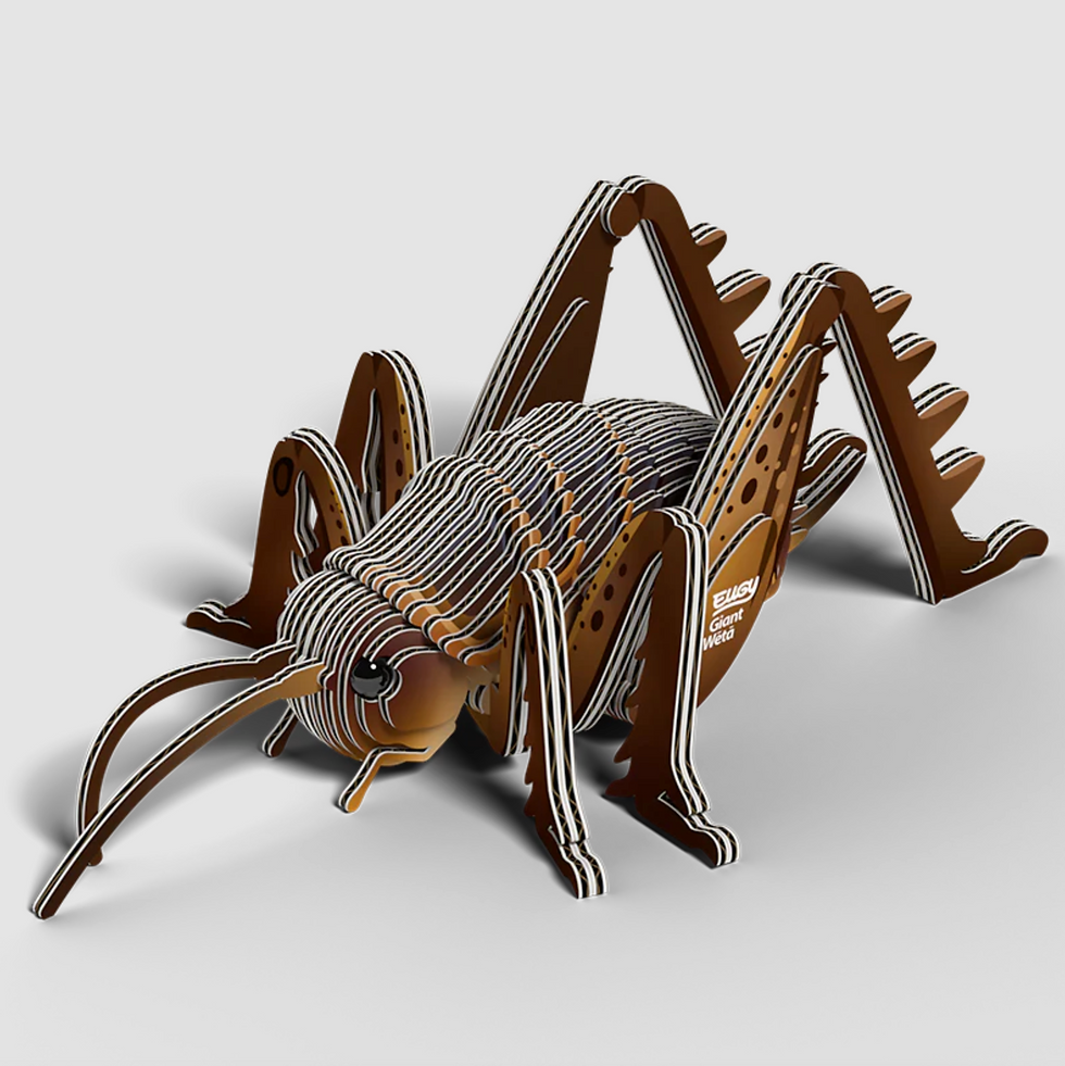 Thumbnail: Giant Weta Eugy Eco-Friendly 3D Paper Puzzle