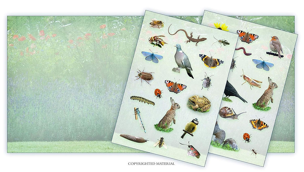 Thumbnail: Activity Pack: Garden Wildlife: Part of the Activity Pack