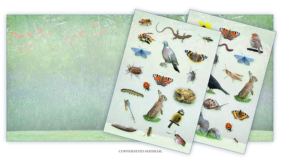 Thumbnail: Activity Pack: Garden Wildlife: Part of the Activity Pack
