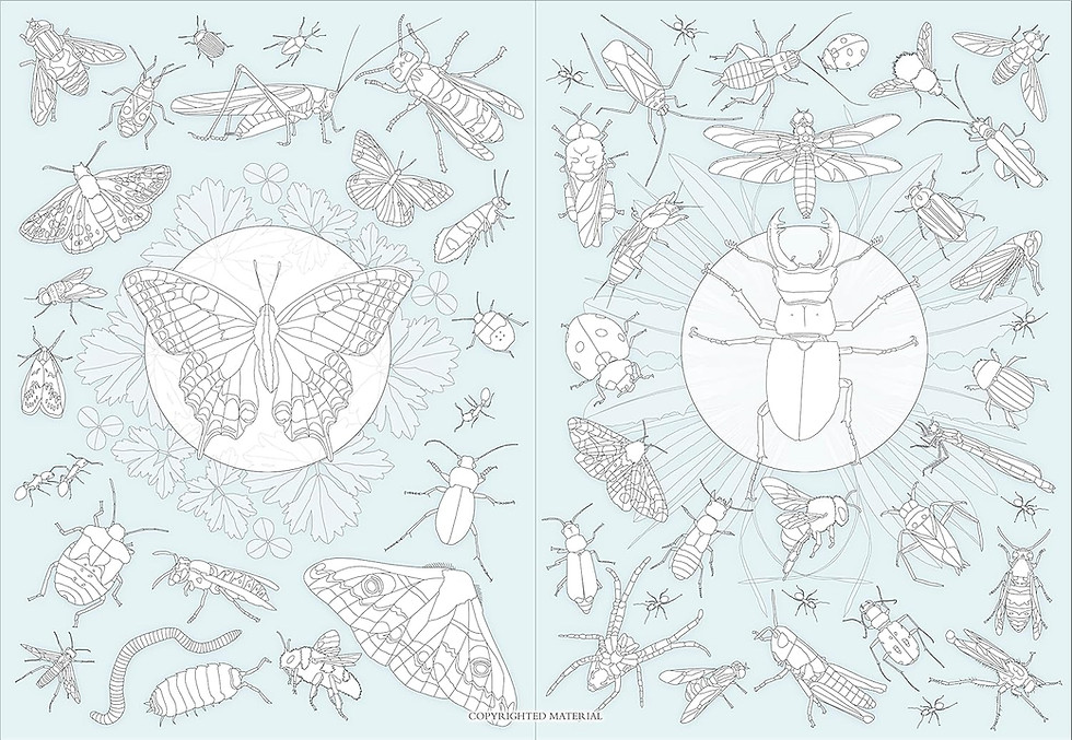 Thumbnail: Let’s Look for Bugs: A Spot, Stick, Colour & Play Book