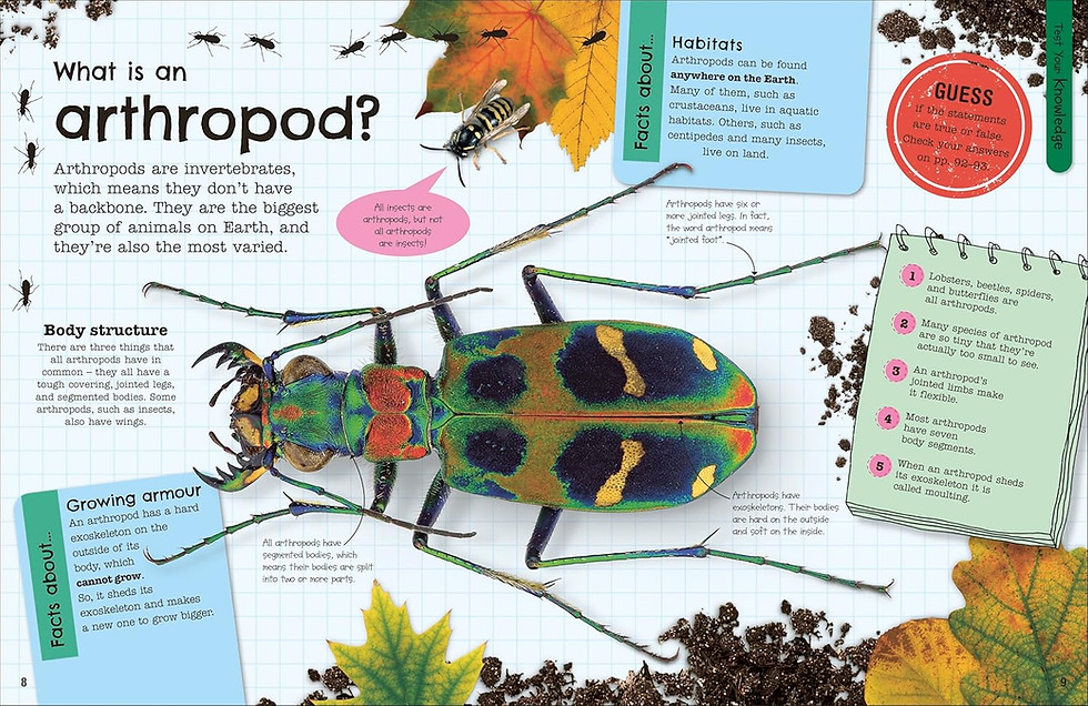 Thumbnail: The Fact-Packed Activity Book: Insects: And Other Tiny Creatures