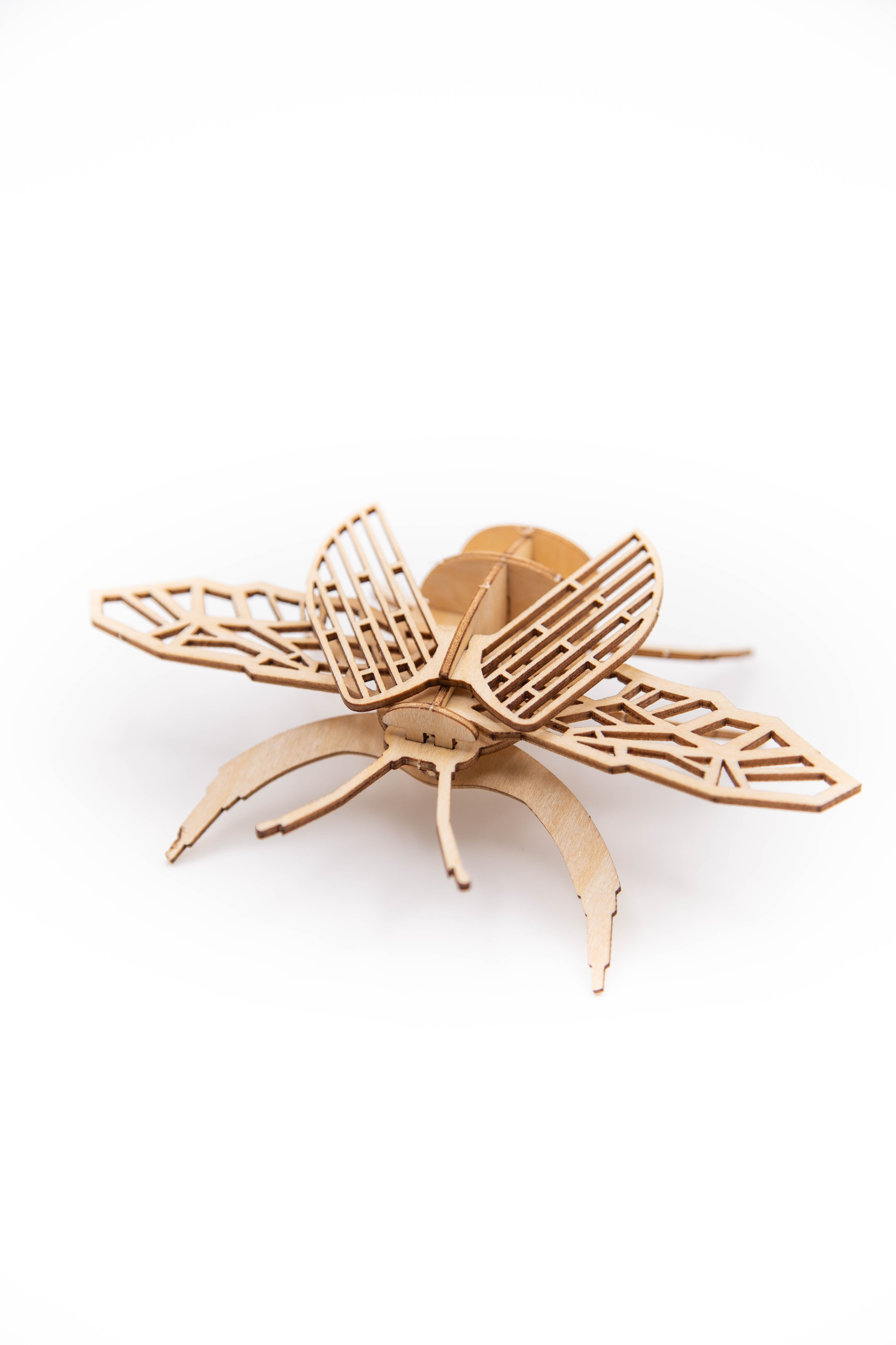 Wooden Beetle 3D Puzzle Kit