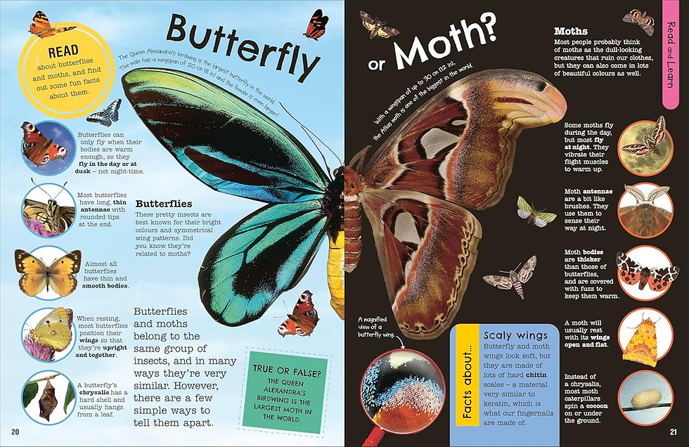 Thumbnail: The Fact-Packed Activity Book: Insects: And Other Tiny Creatures