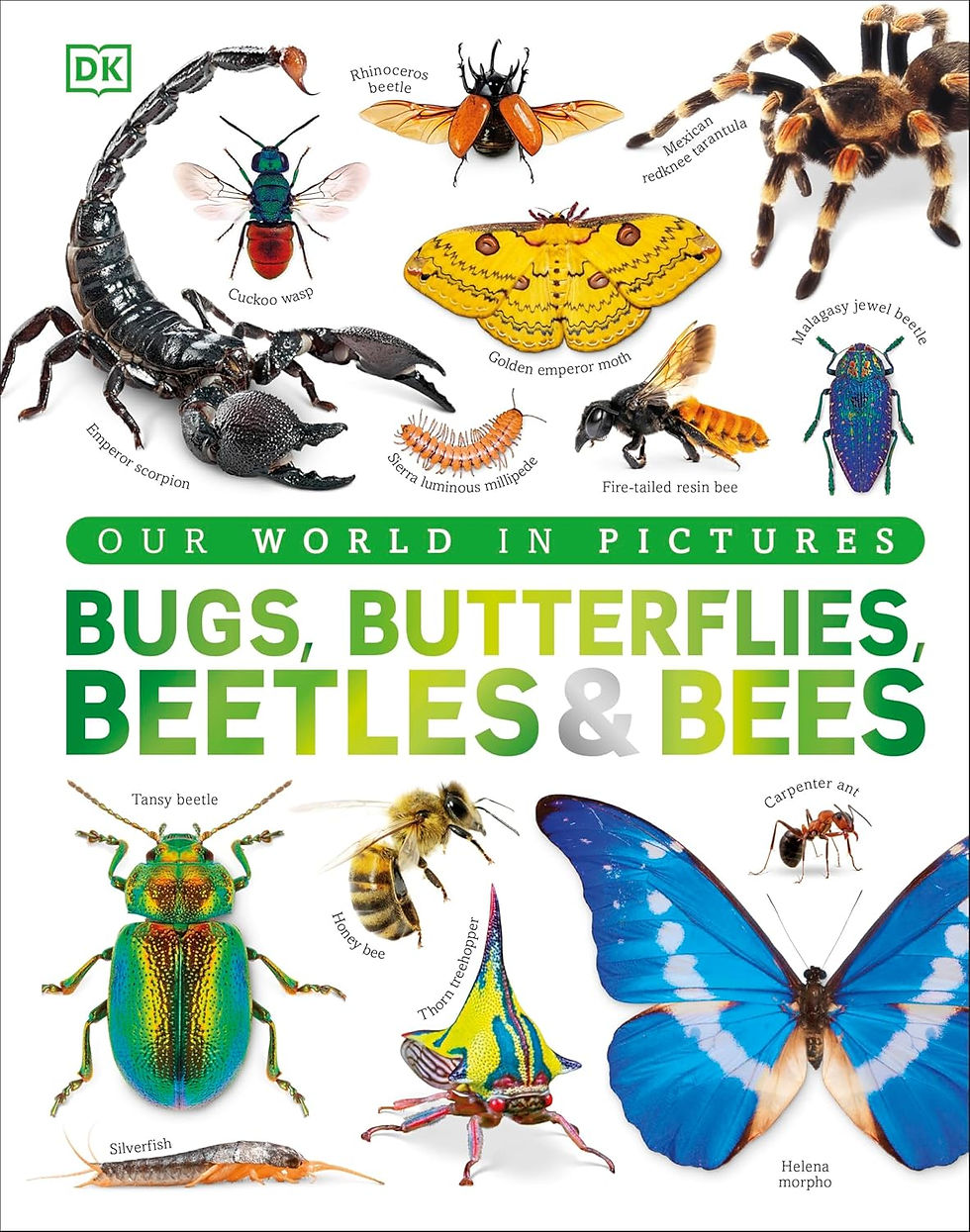 Thumbnail: Bugs, Butterflies, Beetles and Bees:A Visual Bug and Insect Encyclopedia for Kid