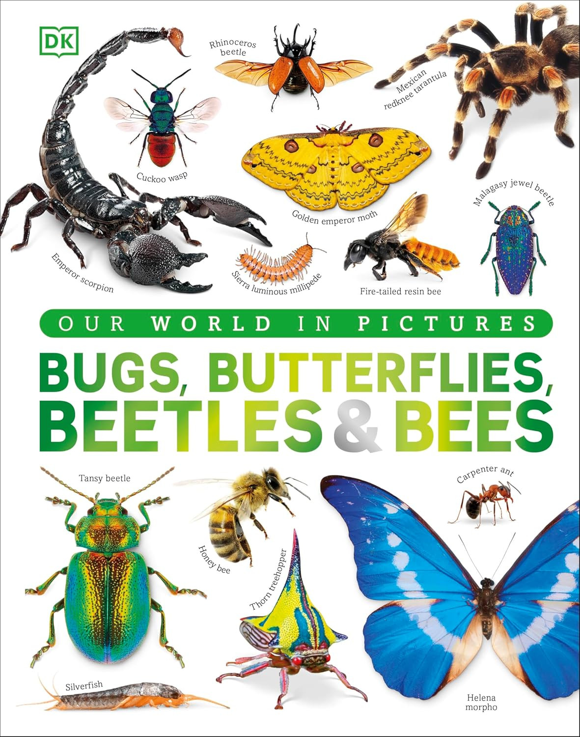 Bugs, Butterflies, Beetles and Bees:A Visual Bug and Insect Encyclopedia for Kid