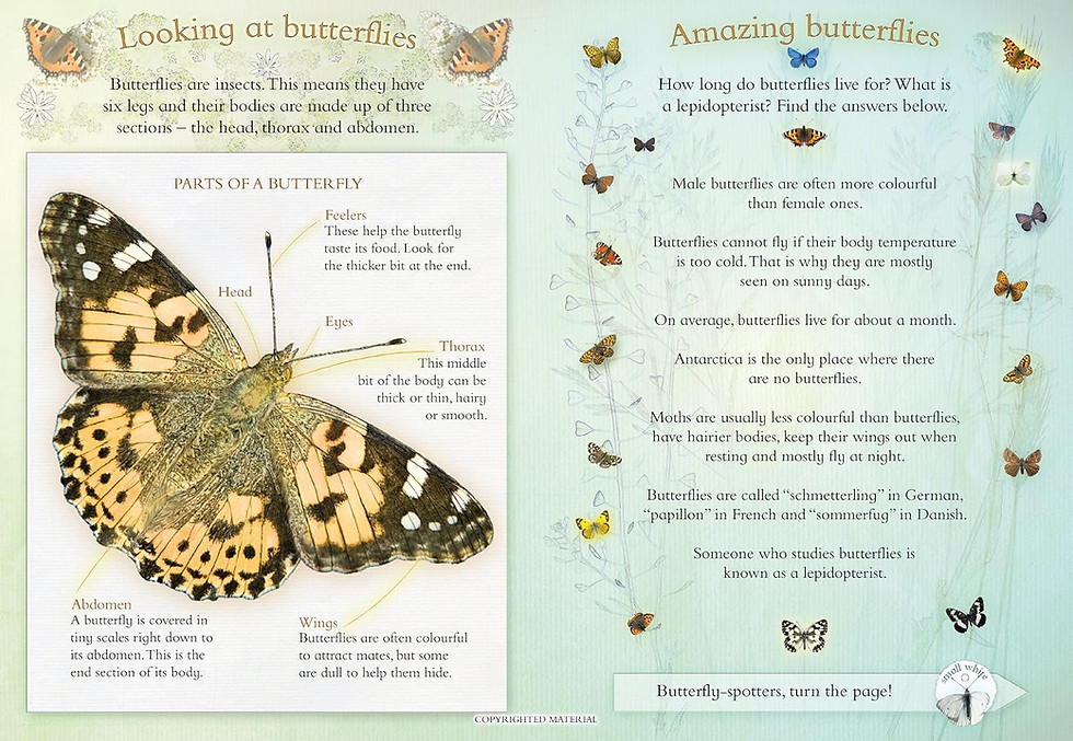 Thumbnail: Let’s Look for Butterflies: A Spot & Learn, Stick & Play Book