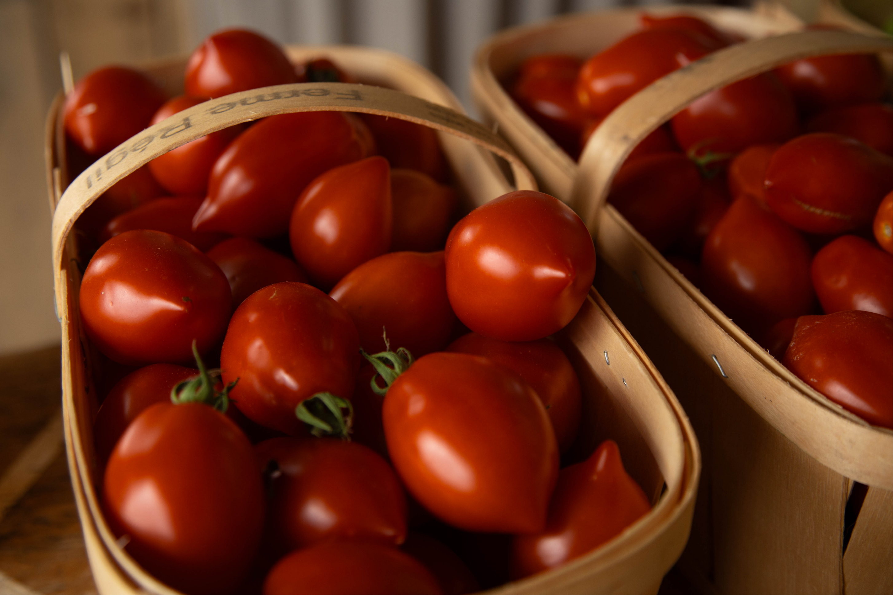 Tomate italienne - bio