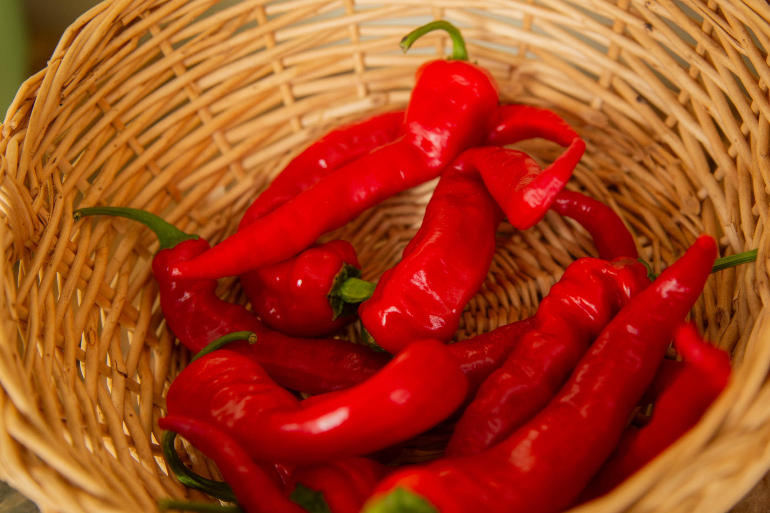 Piment fort - Bio