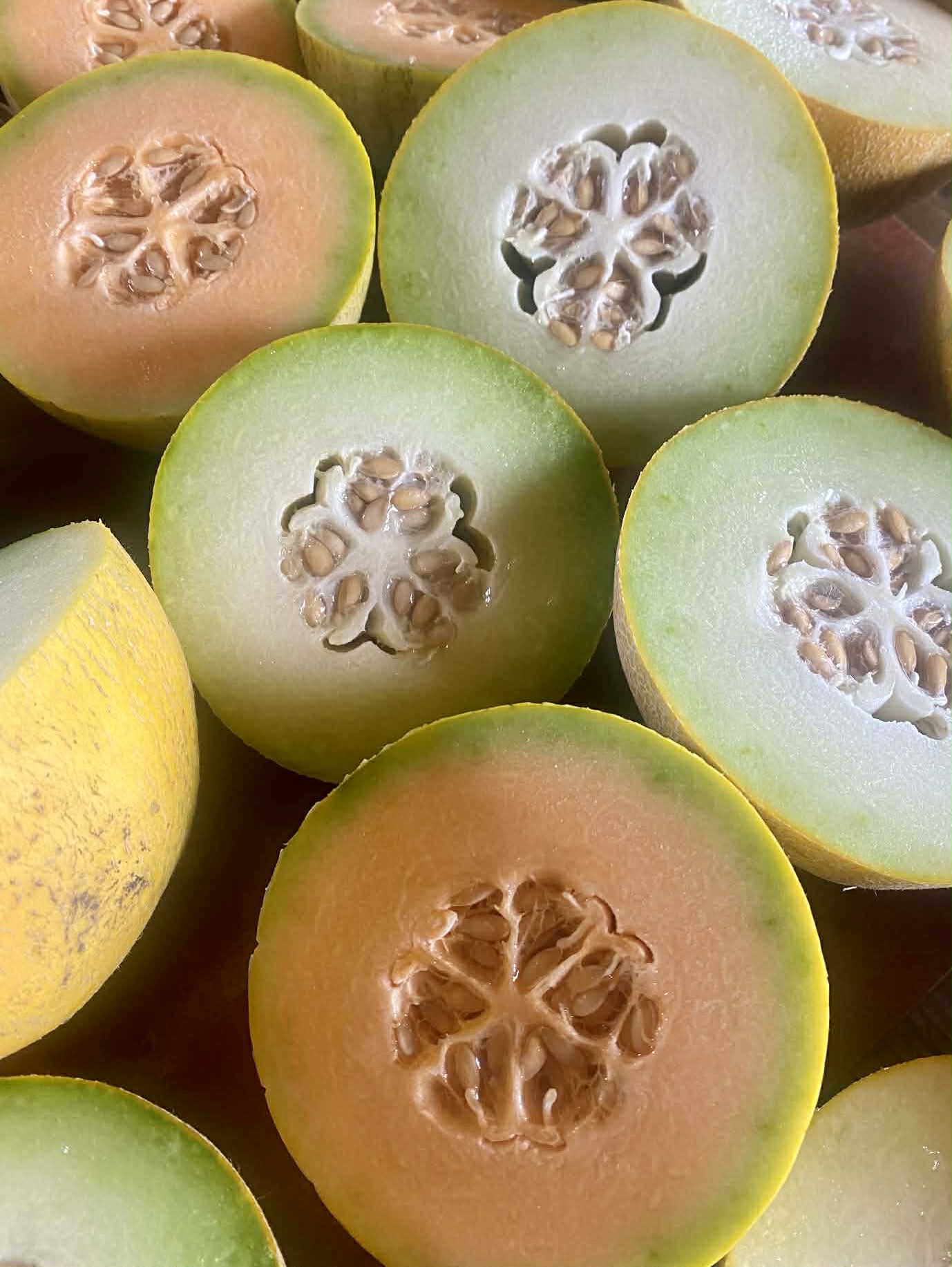 Melon mix - bio (2x)