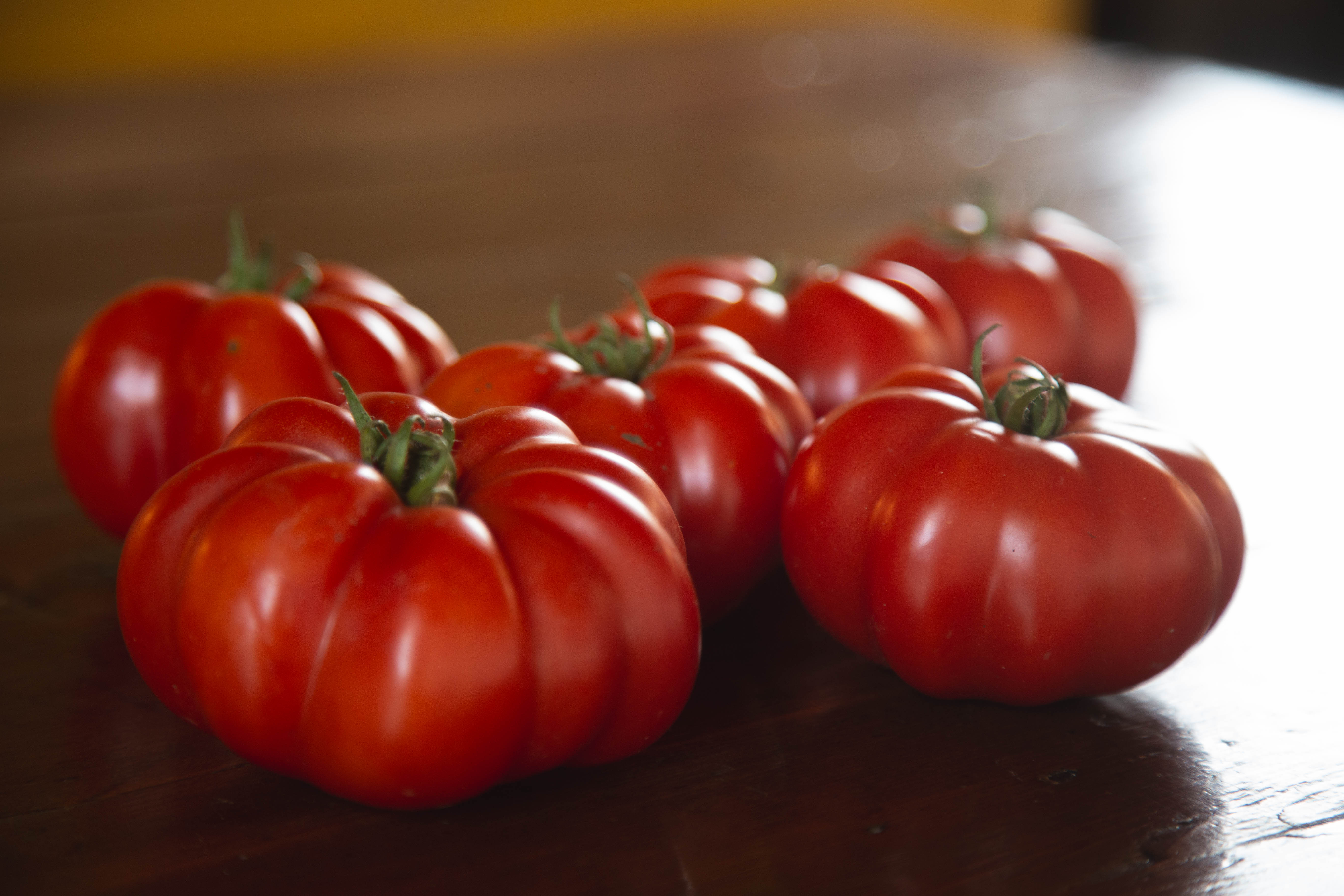Tomate rouge - bio