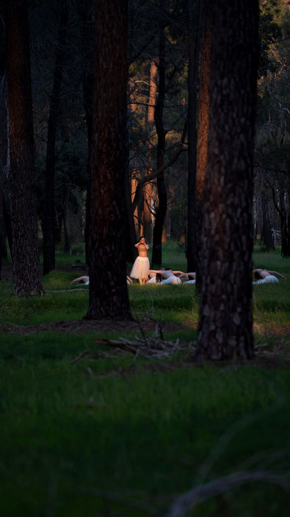 Open Award Winner for City of Bayswater Community Art Awards 2024 - Women dancing in forest