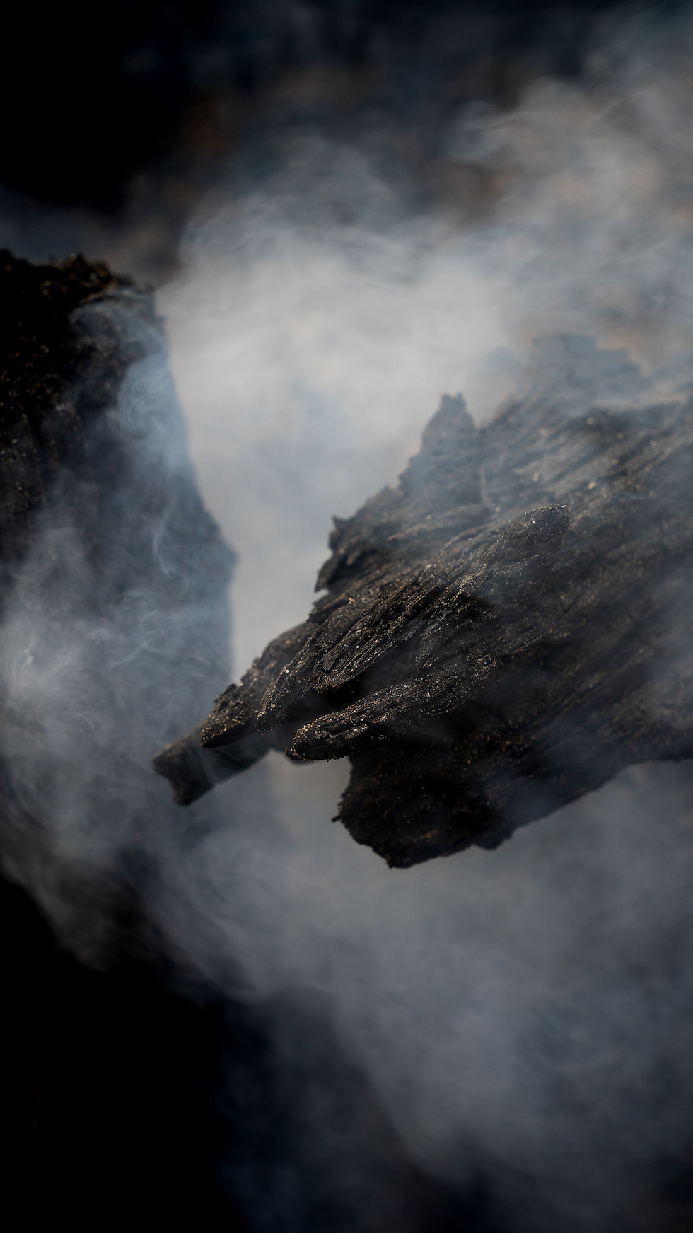 Smoke coming from burned wood