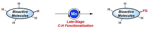 GRAPHICAL ABSTRACT.JPG