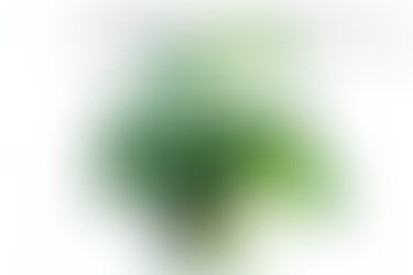 CATALOG UPDATED:WATER PLANTS