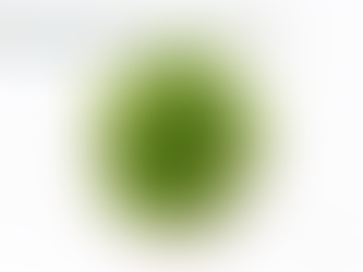 Cryptocoryne ideii — Species Profile & Cultivation Notes