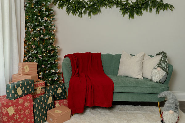 Christmas mini session in studio mckinney texas