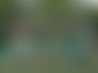 Mezzencore et MFIF, partenaires majeurs de La Salésienne