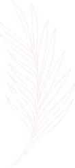 leaf2.png